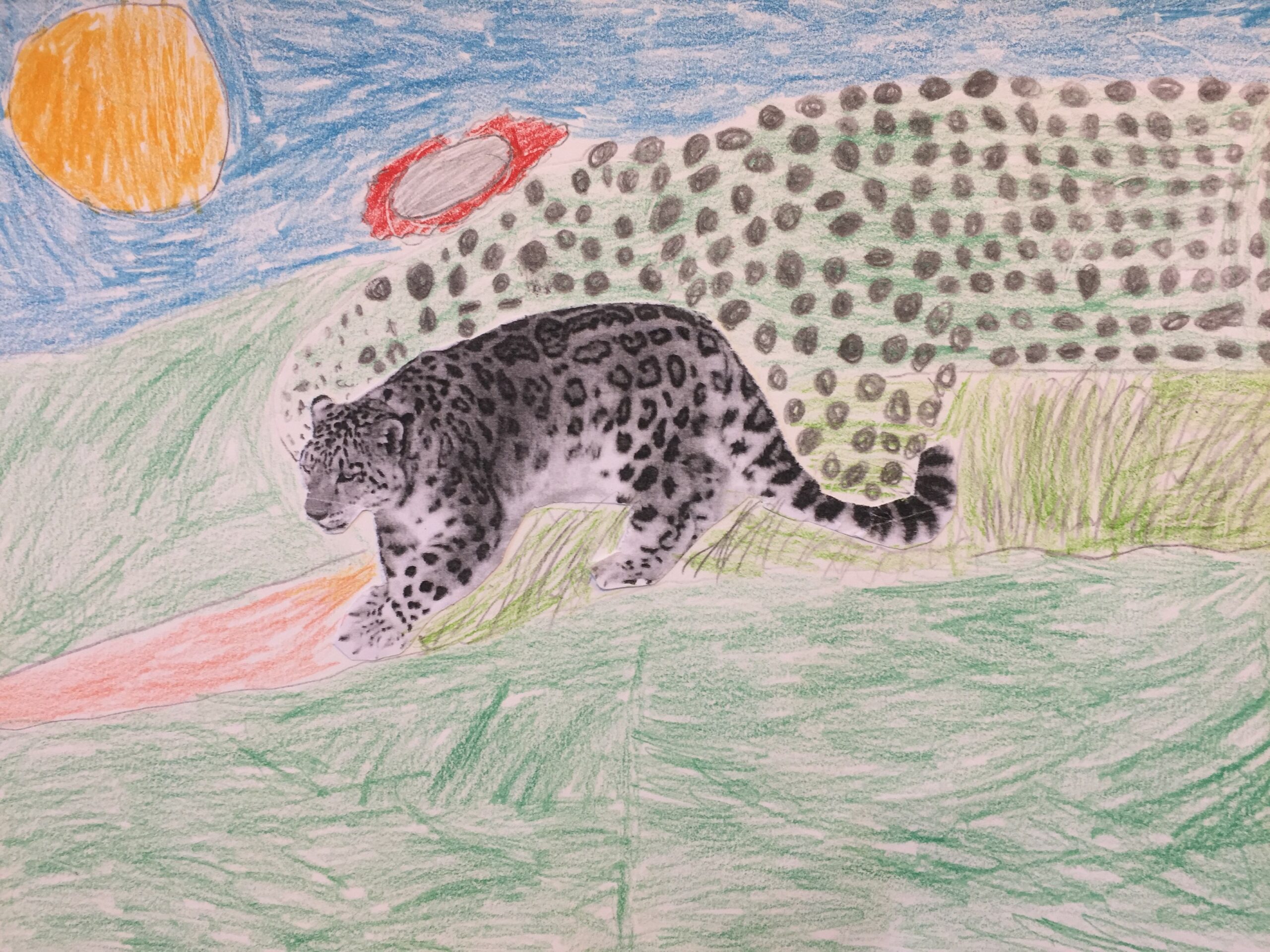 2018-01-25 La magie du léopard (6e) (13)