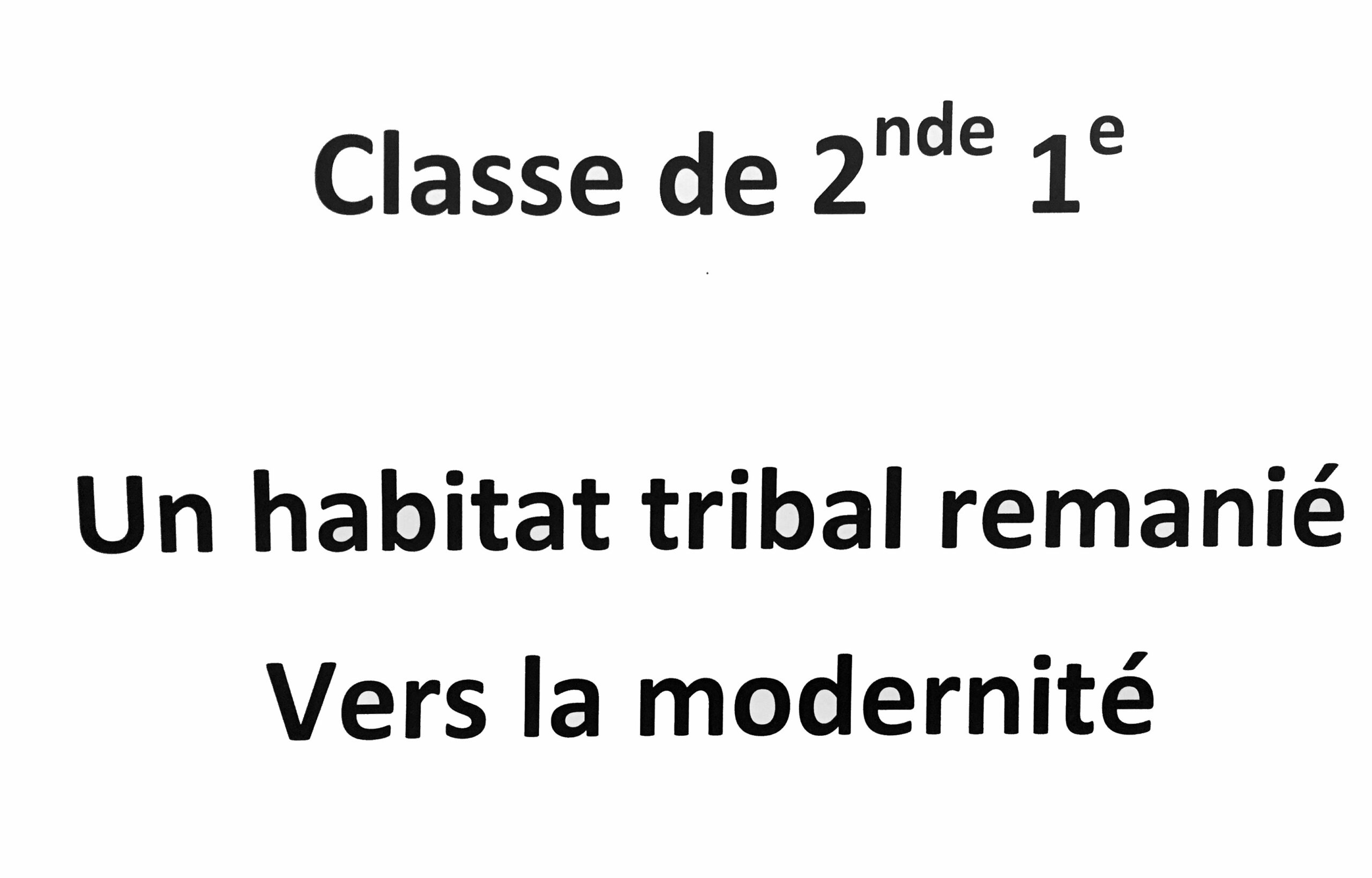 2019-01-23 Une construction tribal (2nde - 1ère) (00)
