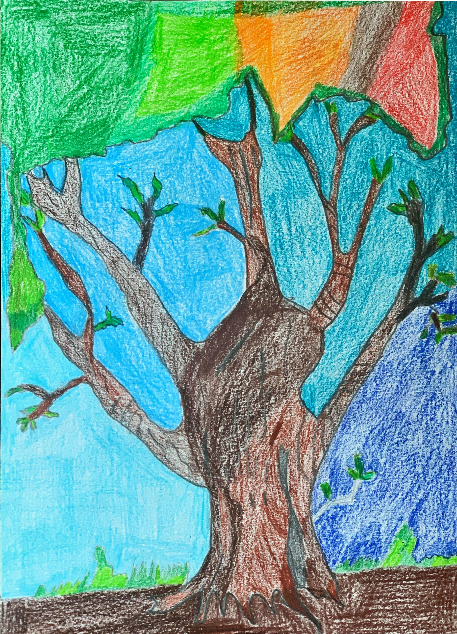 L’arbre au mille couleur (01)