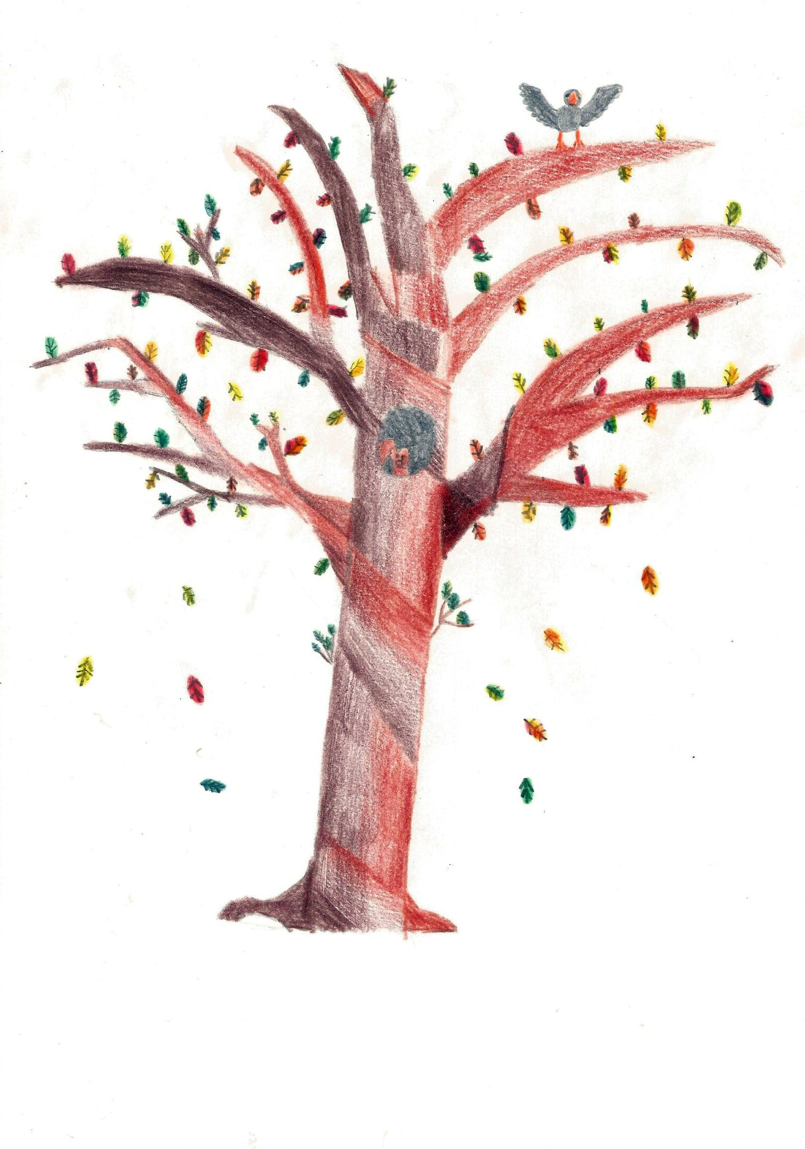 L’arbre au mille couleur (04)