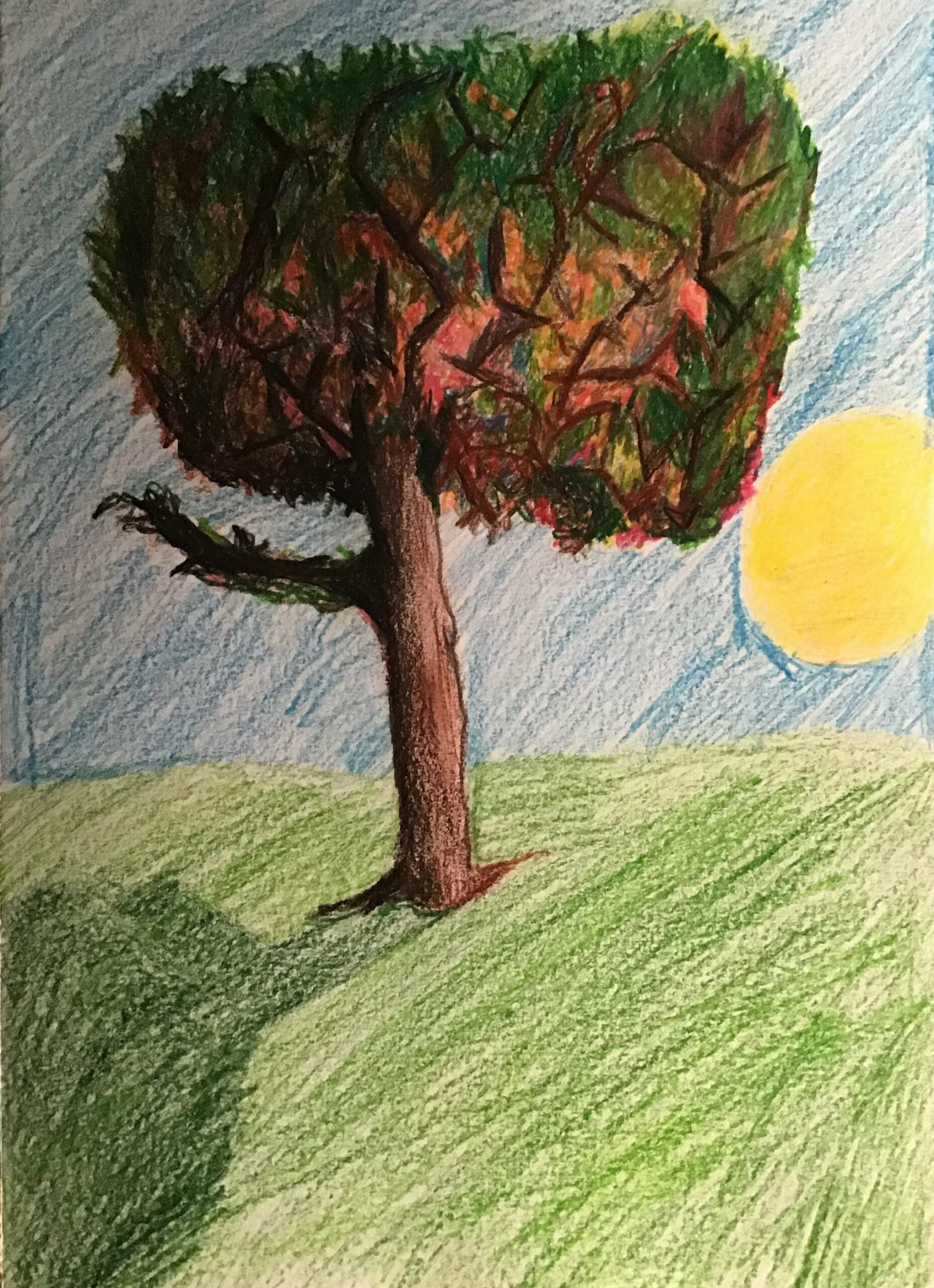 L’arbre au mille couleur (07)