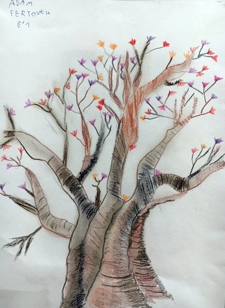 L’arbre au mille couleur (12)