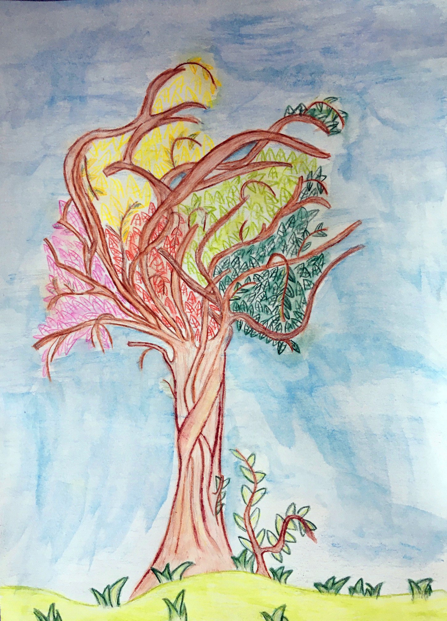 L’arbre au mille couleur (15)