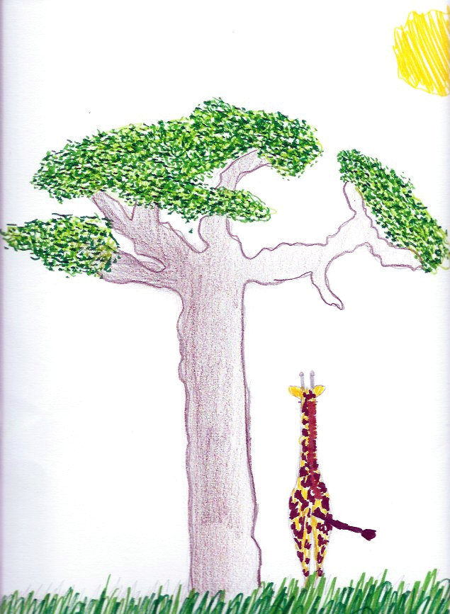 L’arbre au mille couleur (17)