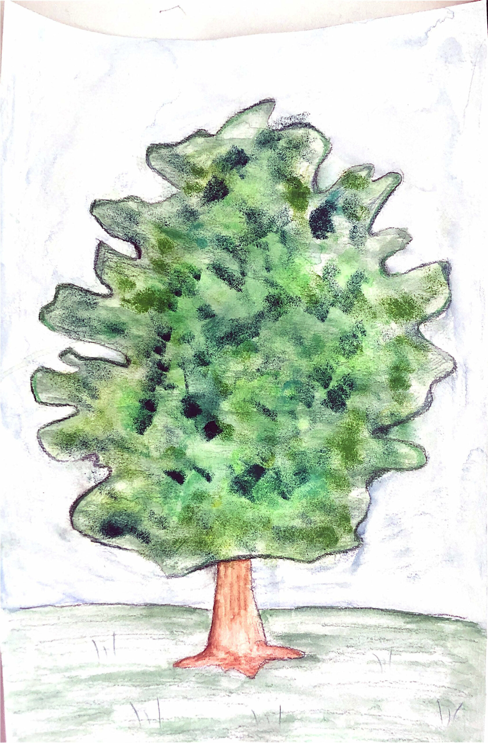 L’arbre au mille couleur (18)