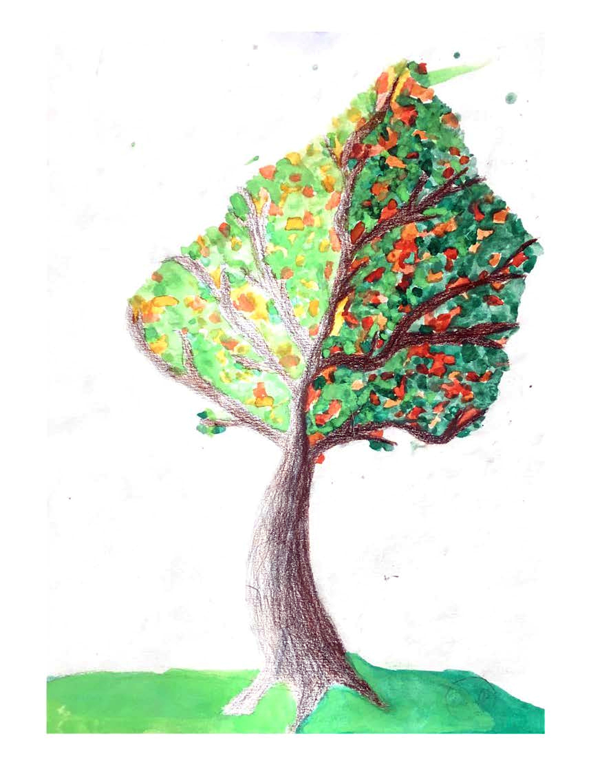 L’arbre au mille couleur (19)