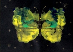 2013-12 - Papillons imaginaires (1)