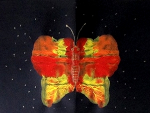 2013-12 - Papillons imaginaires (7)