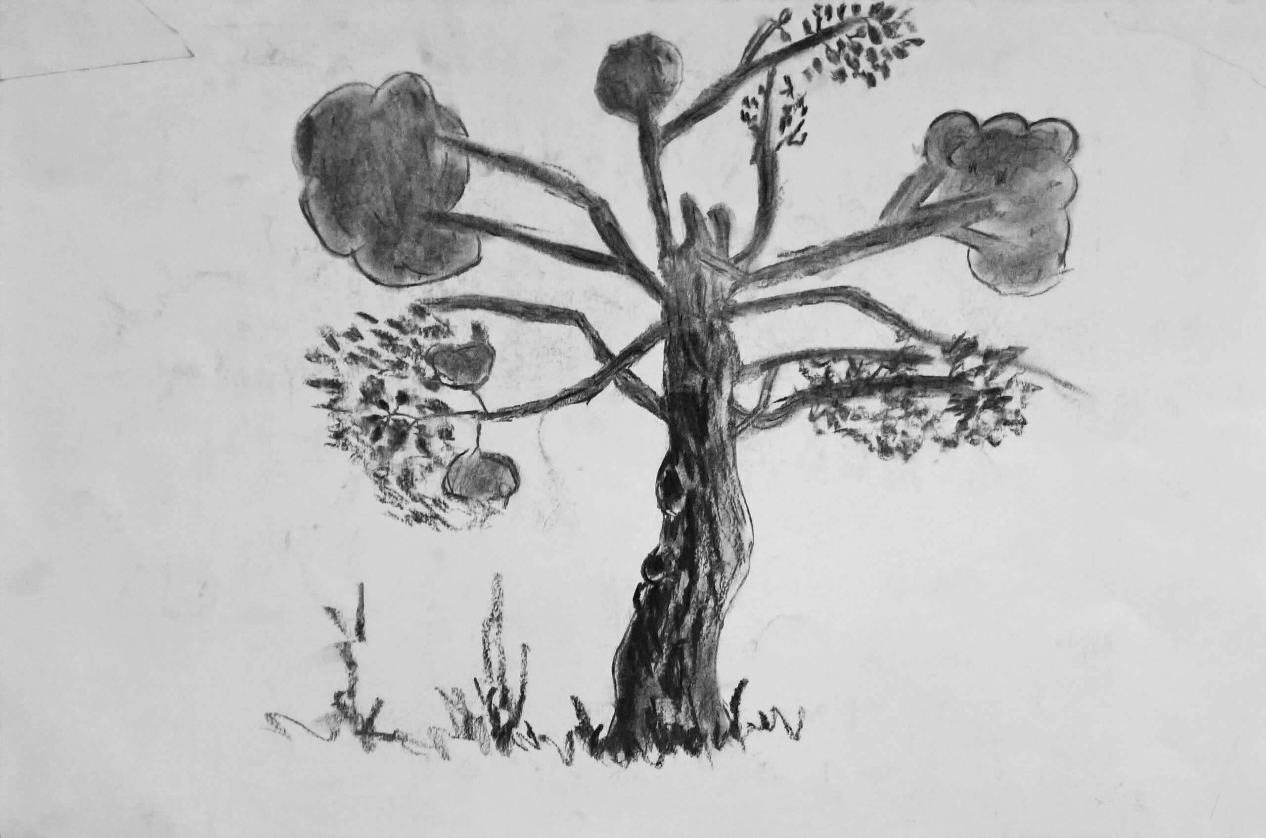 L'arbre est une figure (12)