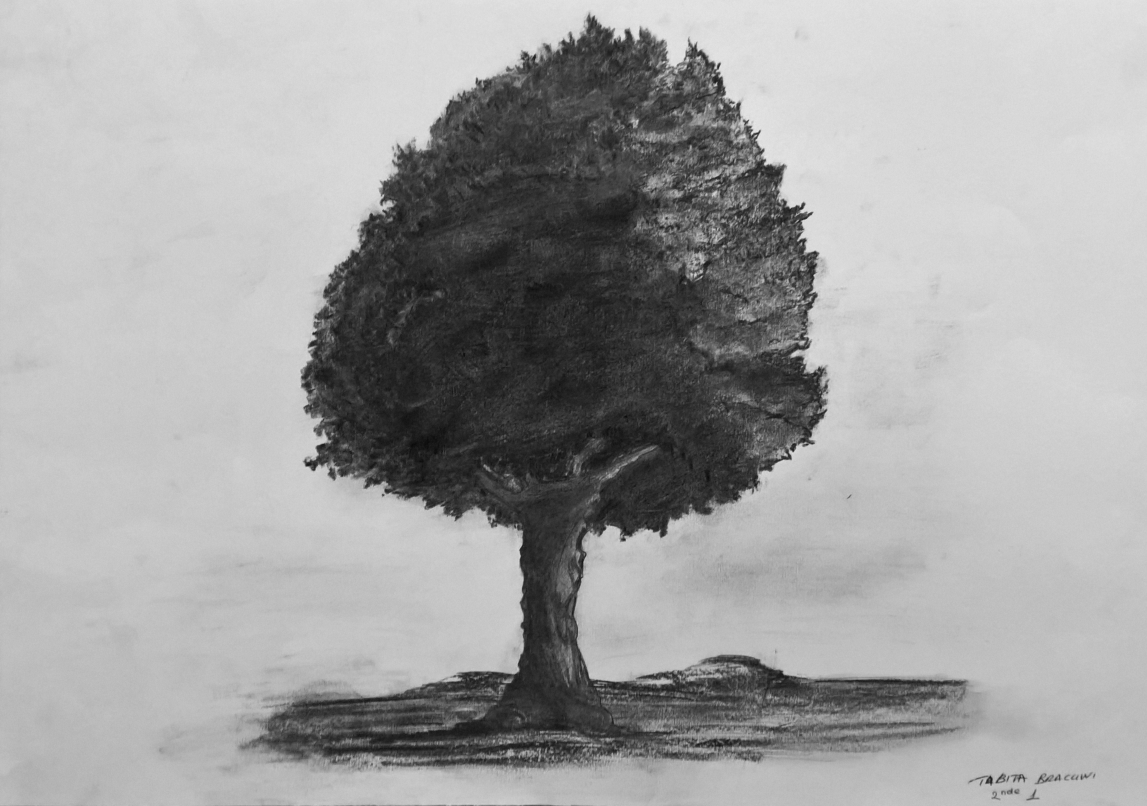 L'arbre est une figure (13)