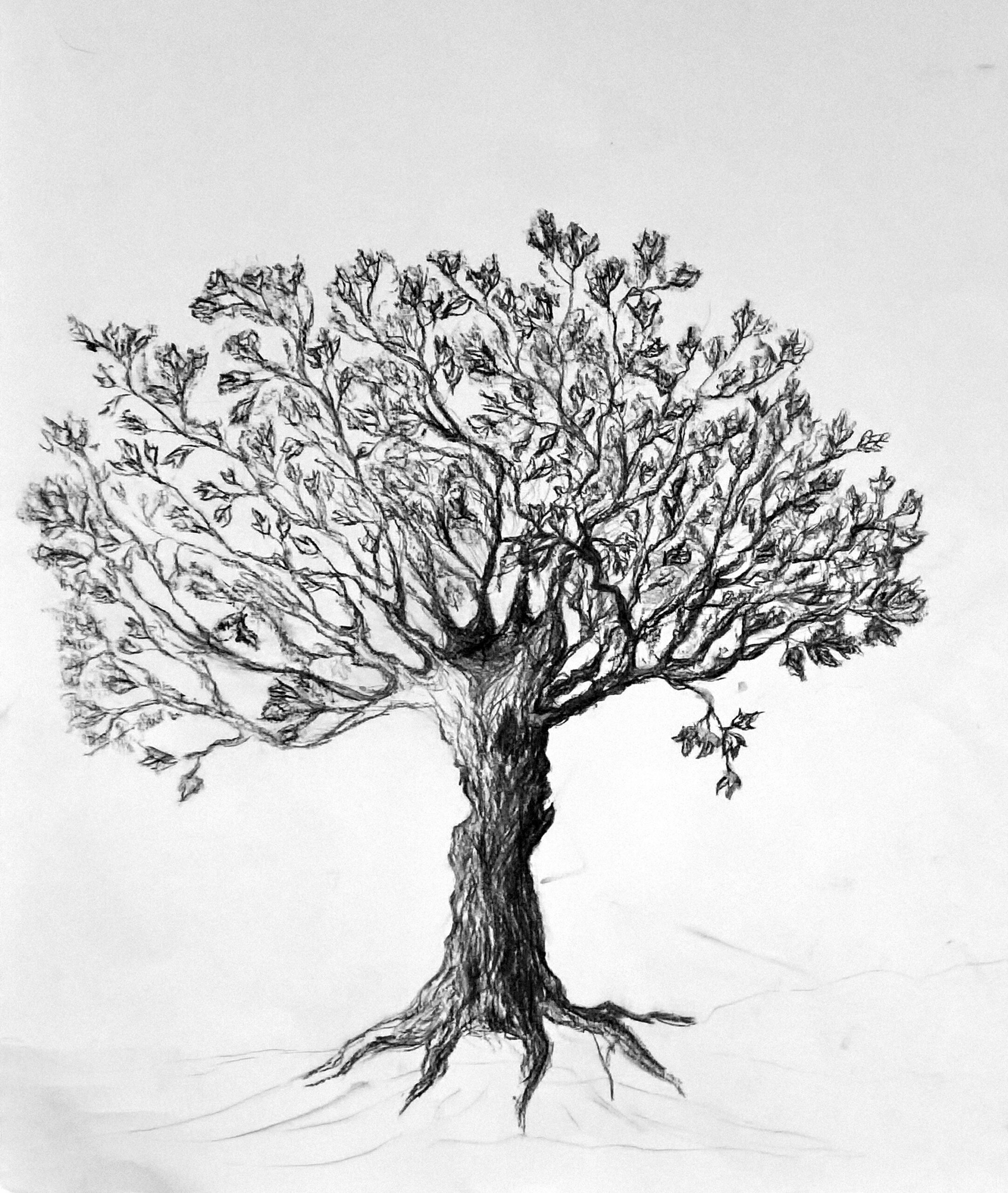 L'arbre est une figure (14)